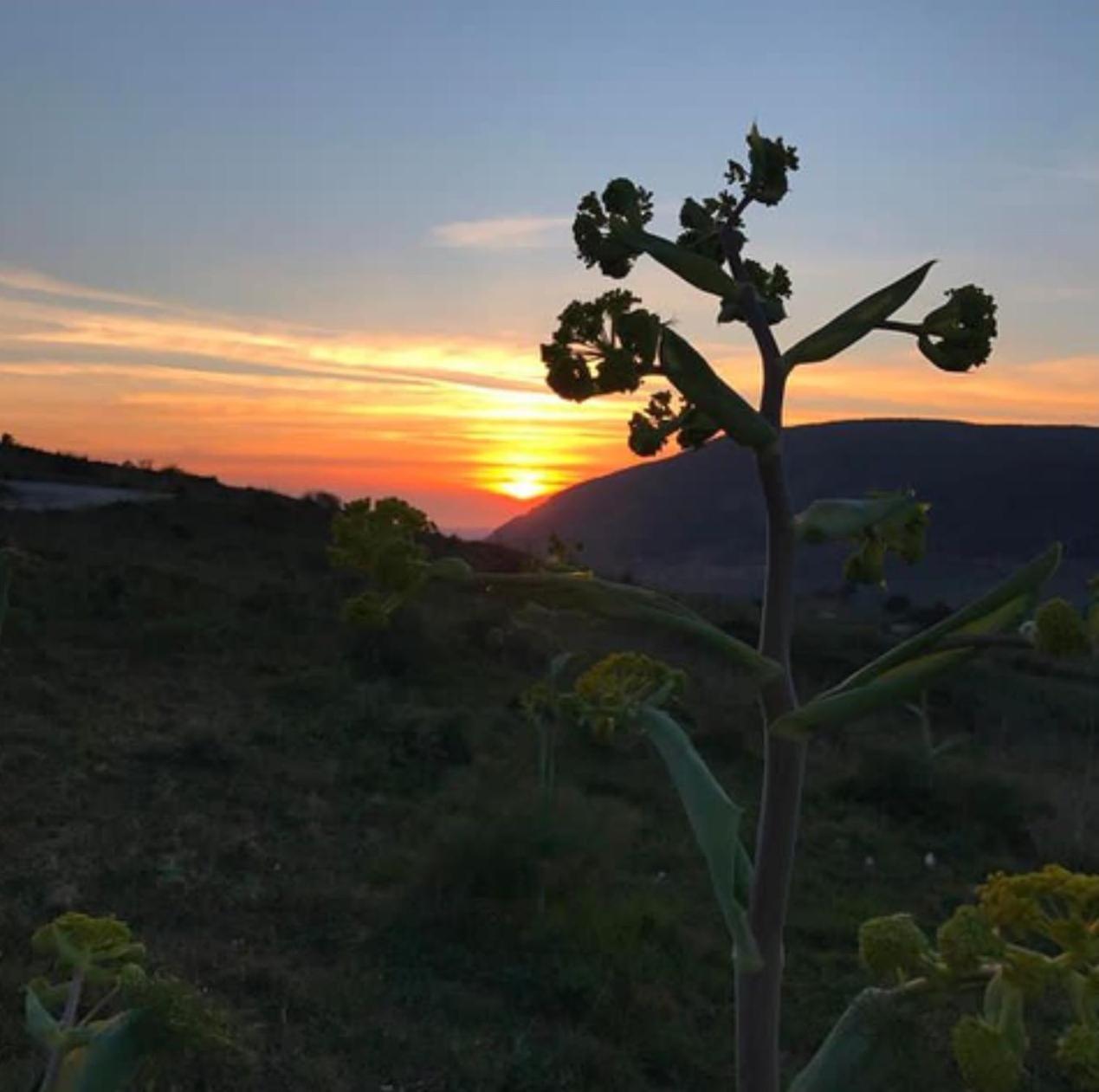 In Sicilia Da Ciro Bed & Breakfast Vita Екстериор снимка