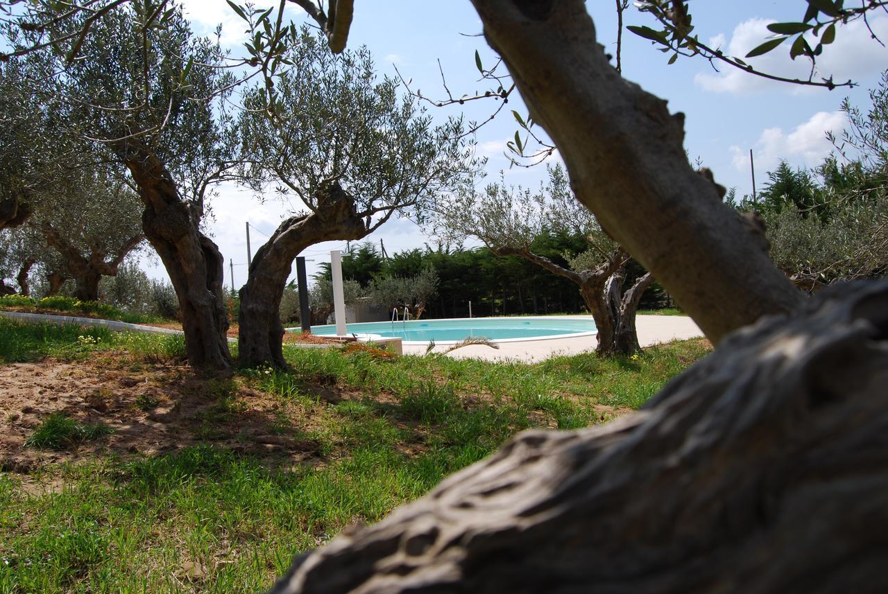 In Sicilia Da Ciro Bed & Breakfast Vita Екстериор снимка